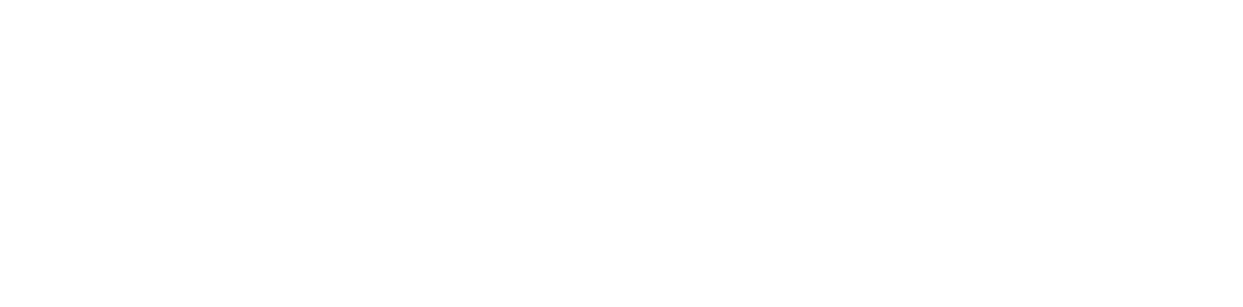 企業専属軽貨物便